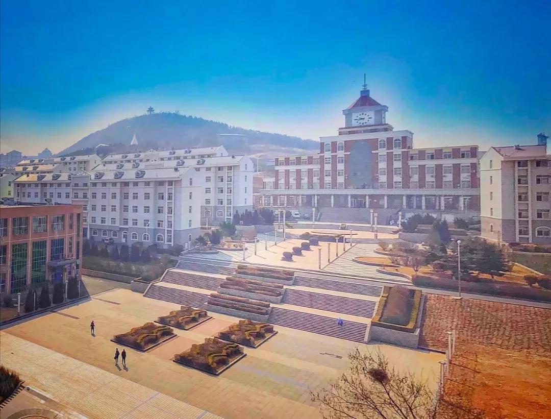 辽宁任务完成步骤指南，技能掌握与实践指南