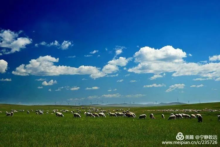 呼伦贝尔盛会，尊敬的领导与朋友们共聚一堂